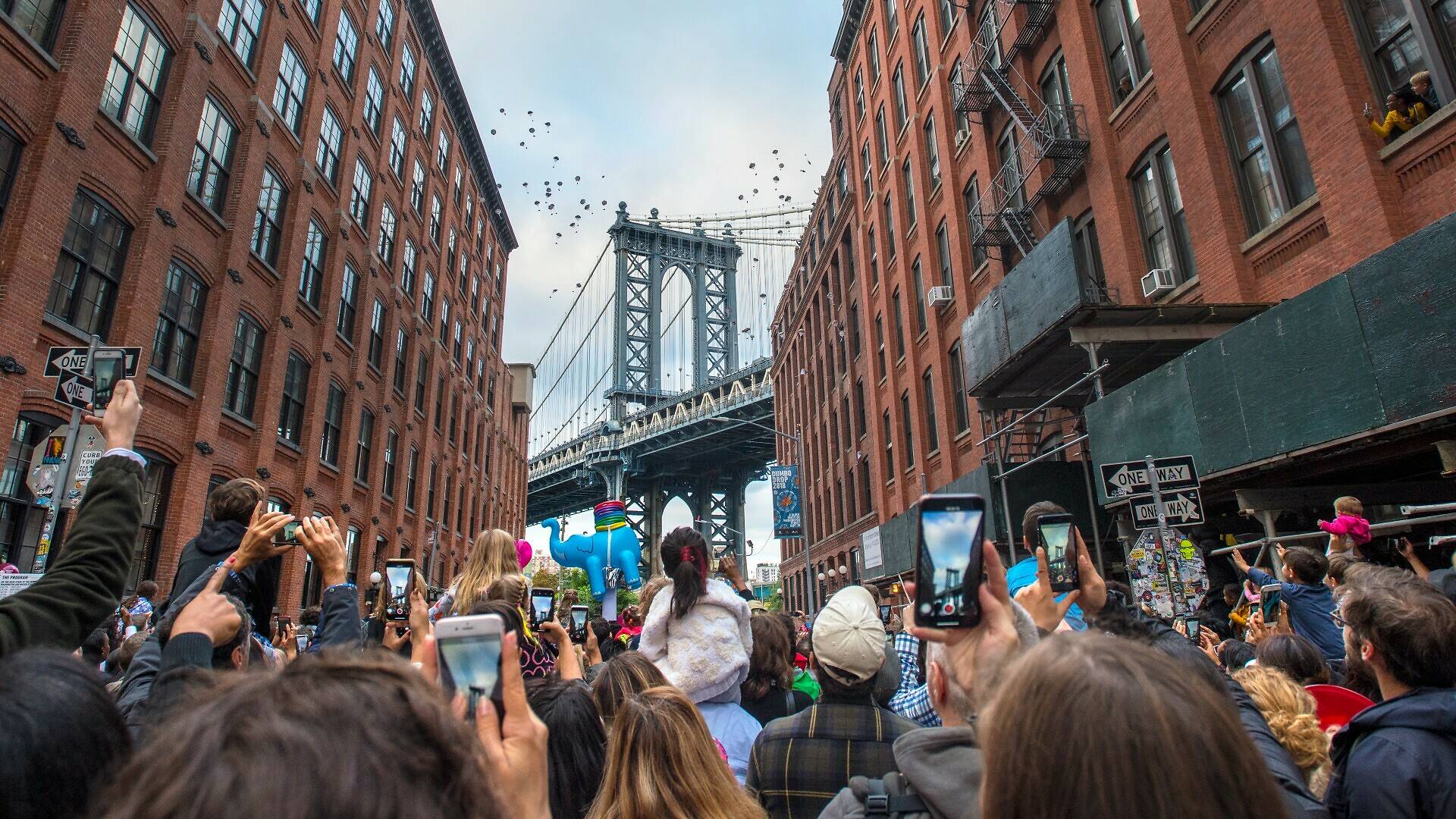 Dumbo Drop