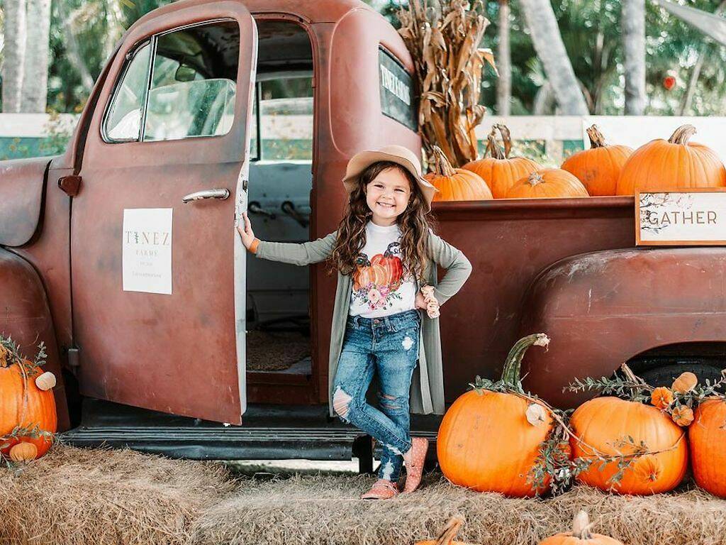 Tinez Farms Fall Festival