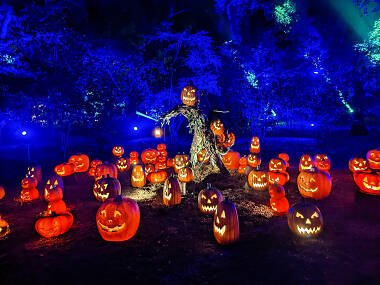 Встречаем Хеллоуин с Carved