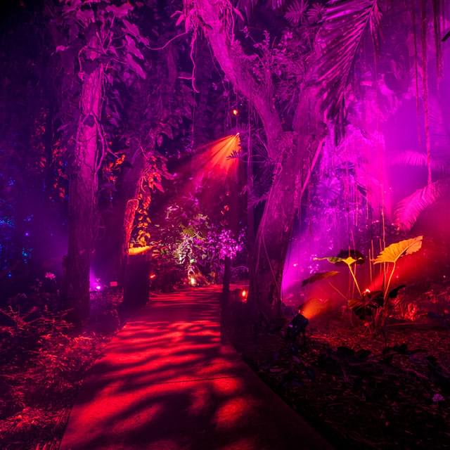 Ночь чудес в Fairchild Tropical Botanic Garden
