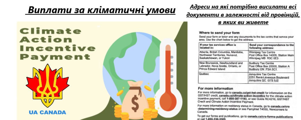 Информация null в Торонто