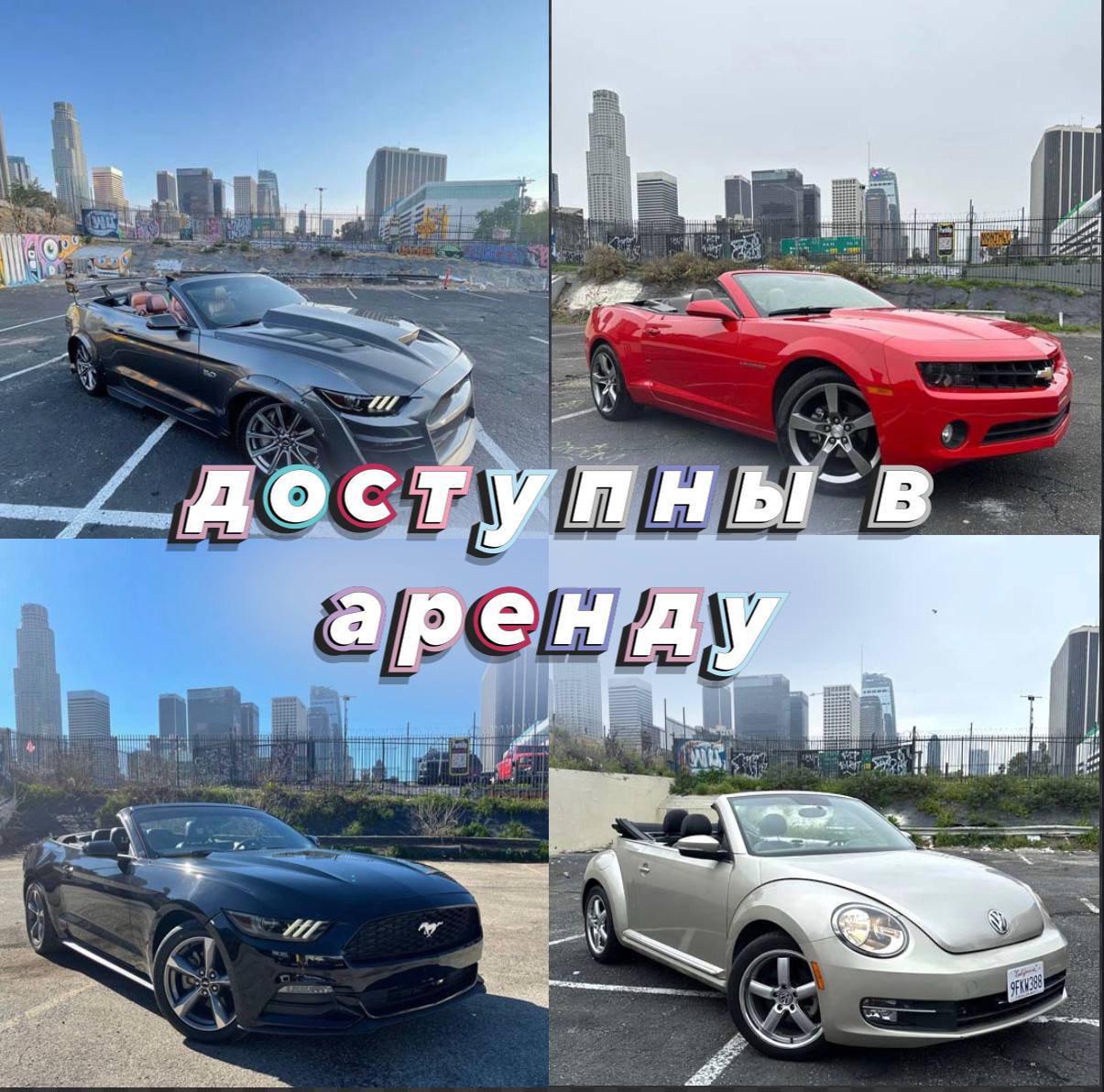 Предлагаю услуги в Лос-Анджелес Аренда авто