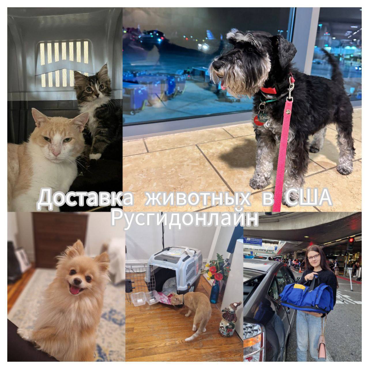 null null в Филадельфия,Чикаго