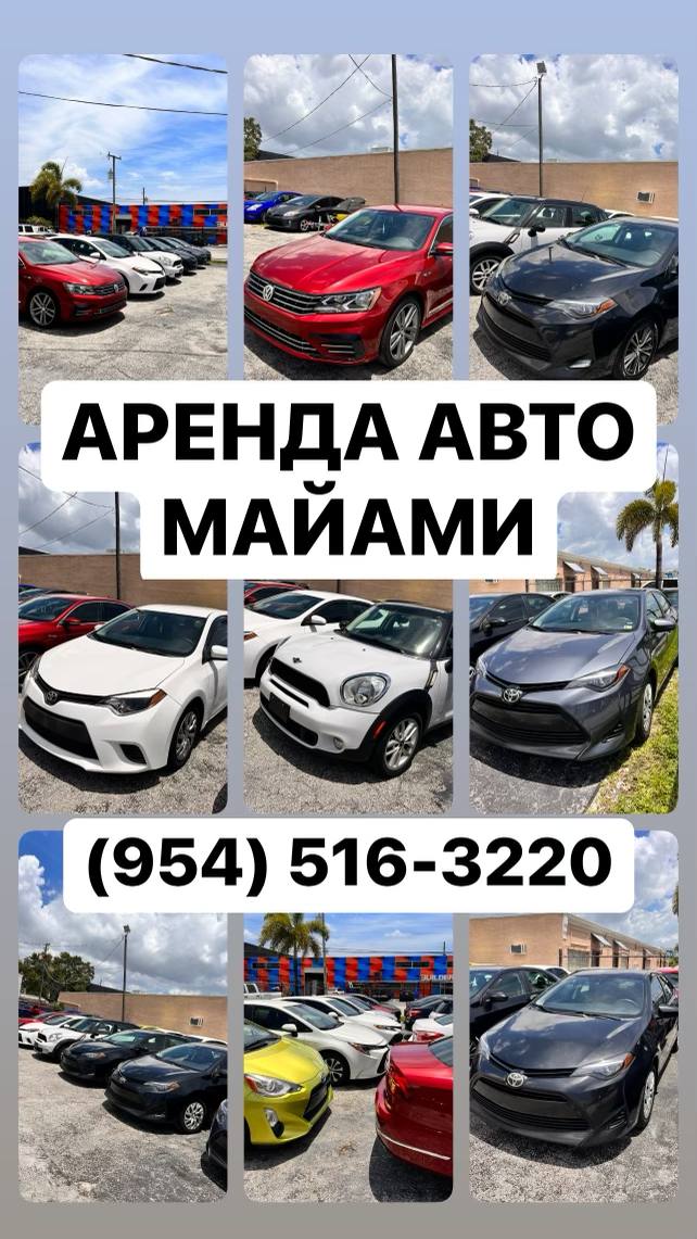 Предлагаю услуги в Майами Аренда авто